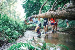 BIB: 
                            <button type="button" onclick="openModal(25454564)" class="btn btn-primary btn-sm float-right btn-popup" data-toggle="modal" data-target=".modal-high-quality">
                        <i class="fas fa-shopping-cart"></i> Add to Cart
                    </button>
                                            <button type="button" onclick="isThisMe(25454564, true)" class="btn btn-success btn-sm float-right btn-popup btn-isme hidden" data-toggle="tooltip" data-placement="bottom" title="นี่คือรูปของคุณใช่ไหม คลิกที่นี่เพื่อเอาเข้าอัลบั้ม">
                        <i class="fas fa-plus"></i> Add to album
                    </button>
                    <button type="button" onclick="isThisMe(25454564, false)" class="btn btn-warning btn-sm float-right btn-popup btn-isnotme hidden">
                        <i class="fas fa-ban"></i> Remove from album
                    </button>